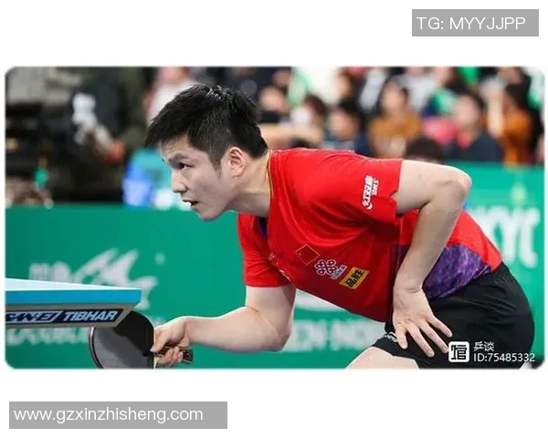 武汉乒乓球队反击之路：挑战与机遇并存的精彩赛季分析