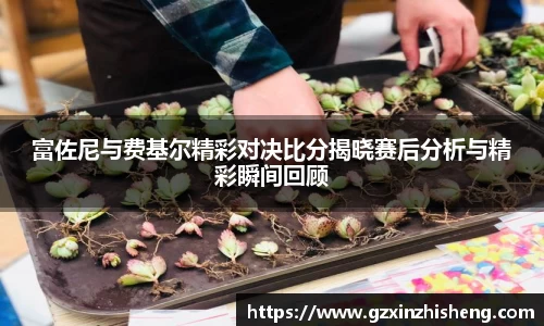 suncitygroup太阳城APP